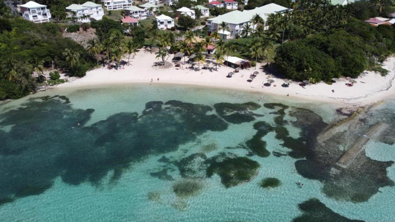 Chaleureux Studio 4 Personnes - Residence Anse Des Rochers - " Les Alizes Du Soir " Tout Equipe Et Citerne D'Eau Saint-Francois  Bagian luar foto